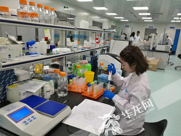 新药还没上市 各药企之间专利布局战役已悄悄打响_媒体推荐_新闻_齐鲁网